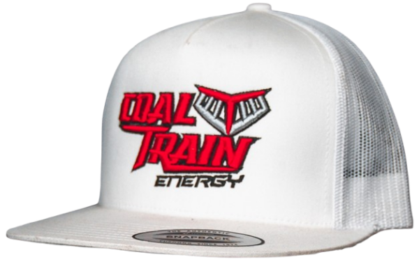 White Yupoong Flat Bill Hat single logo